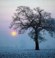 Mist, Clear Mist, Clear